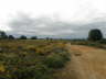 Camino (194)_Bildgre ndern
