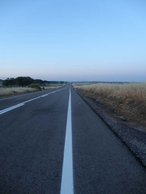 camino (106)_Bildgre ndern