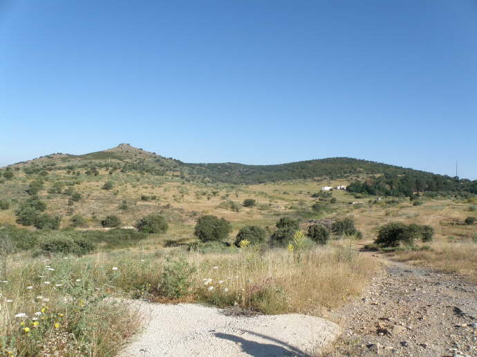 camino (107)_Bildgre ndern