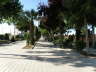 camino (112)_Bildgre ndern