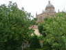 camino (119)_Bildgre ndern