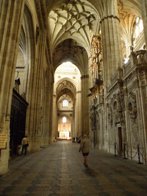 camino (120)1_Bildgre ndern