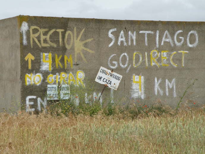 camino (135)