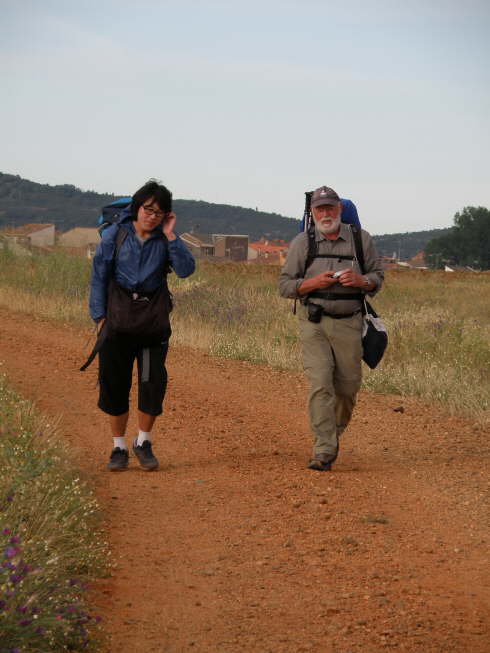 camino (176)_Bildgre ndern
