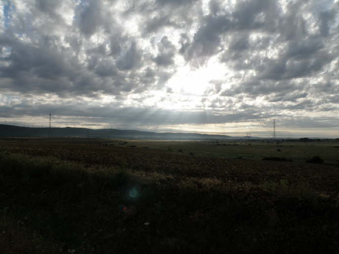 camino (180)_Bildgre ndern