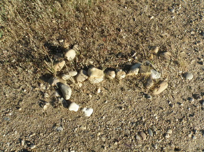 camino (186)_Bildgre ndern