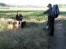 camino (187)_Bildgre ndern