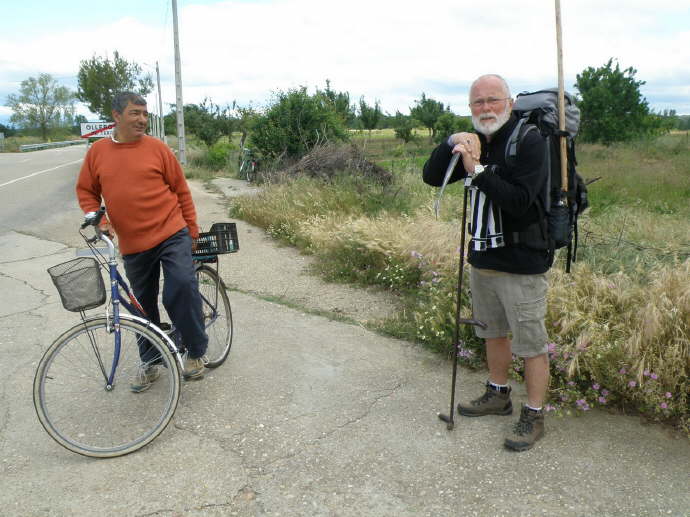 camino (188)_Bildgre ndern