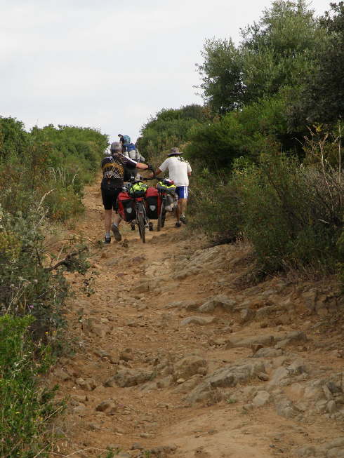 camino (18)