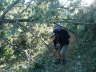 camino (201)_Bildgre ndern