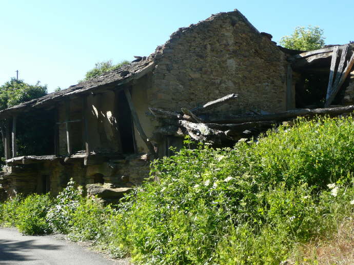 camino (203)_Bildgre ndern