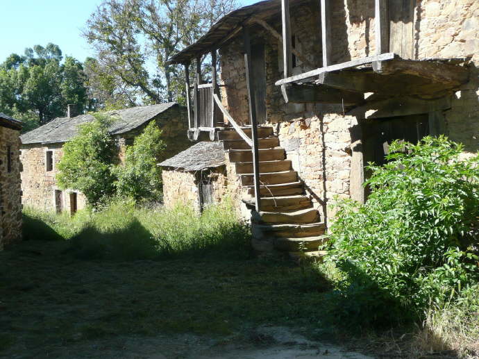 camino (205)_Bildgre ndern