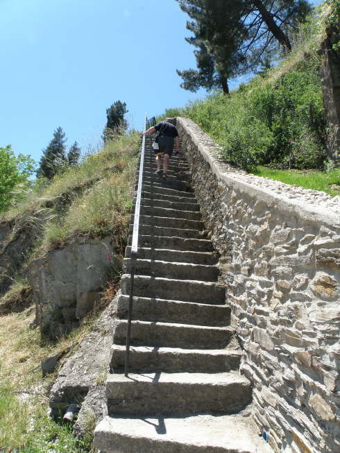 camino (208)_Bildgre ndern