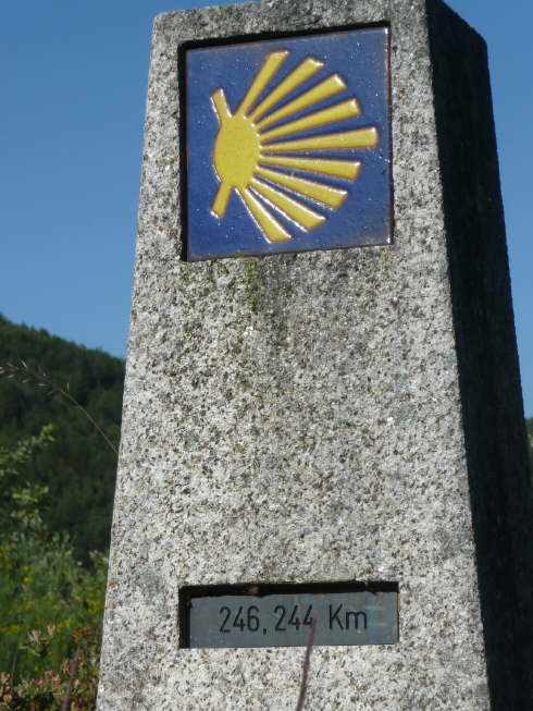 camino (213)_Bildgre ndern