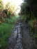 camino (215)_Bildgre ndern