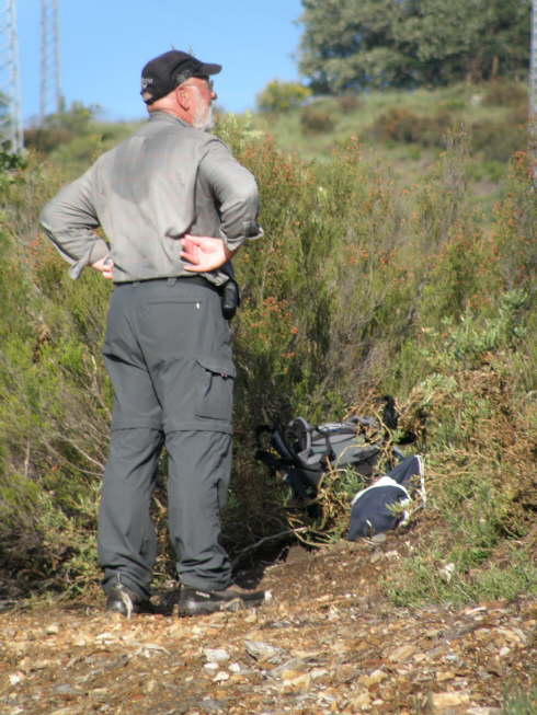 camino (216)_Bildgre ndern