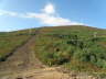camino (217)_Bildgre ndern