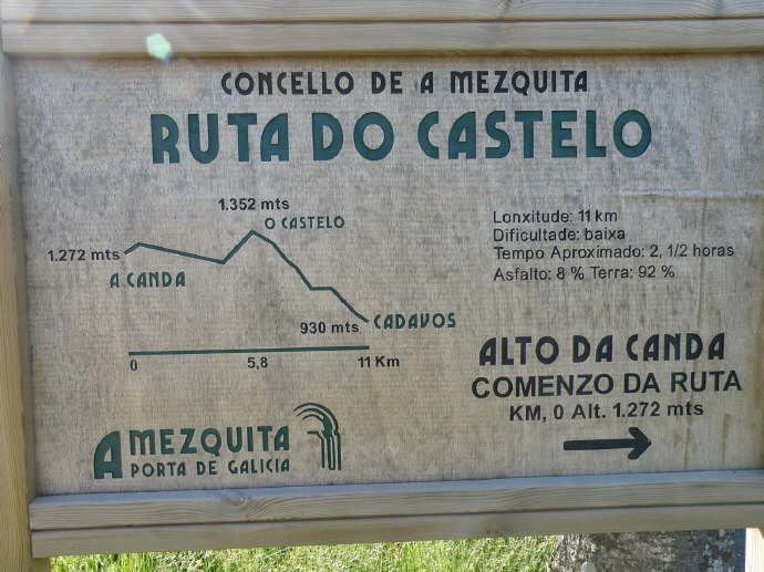 camino (218)_Bildgre ndern