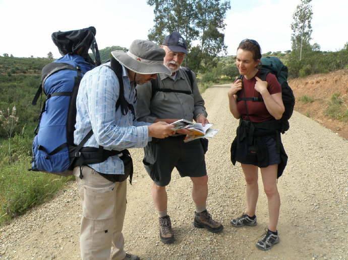camino (21)