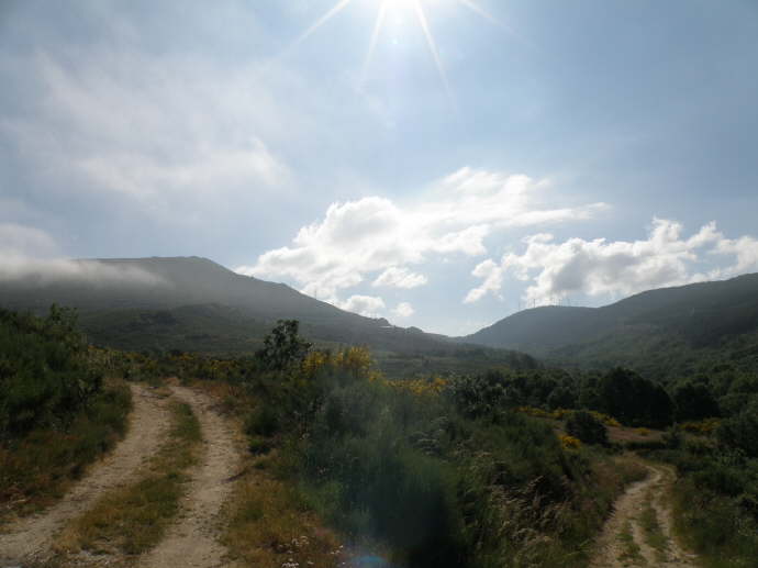 camino (220)_Bildgre ndern