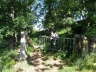 camino (221)_Bildgre ndern