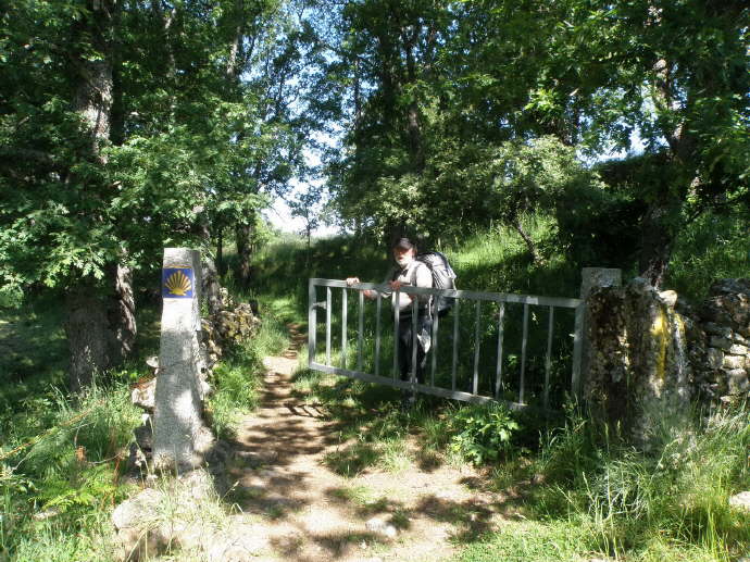 camino (221)_Bildgre ndern