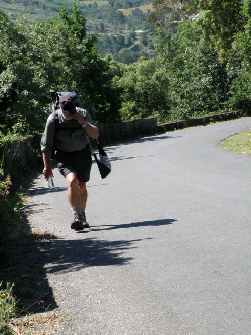 camino (224)_Bildgre ndern