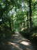 camino (235)_Bildgre ndern