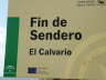 camino (26)
