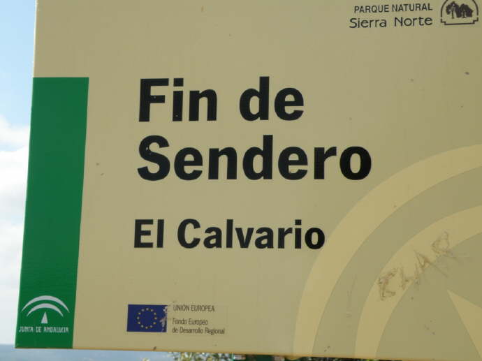 camino (26)