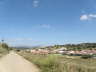 camino (39)
