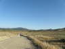 camino (44)_Bildgre ndern
