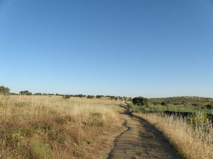camino (55)_Bildgre ndern