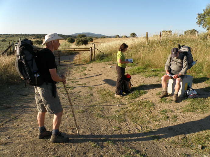 camino (56)_Bildgre ndern