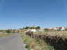camino (61)_Bildgre ndern