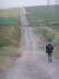 camino (6)