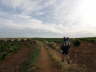 camino (72)_Bildgre ndern