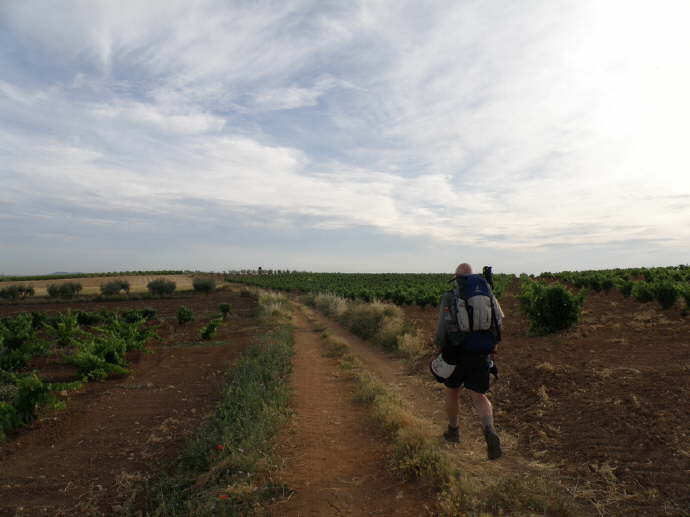 camino (72)_Bildgre ndern