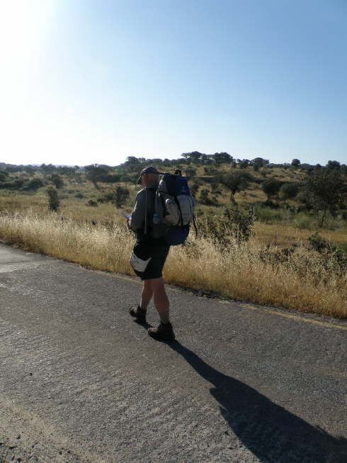 camino (86)_Bildgre ndern