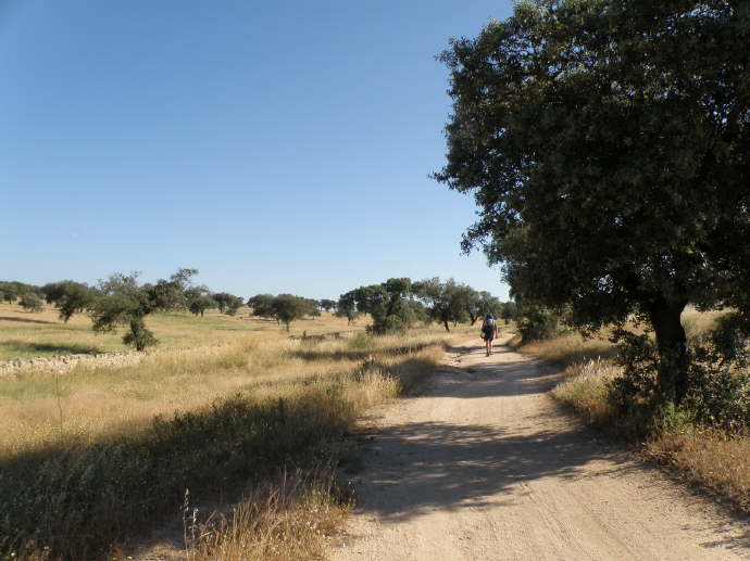 camino (87)_Bildgre ndern