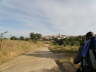camino (98)_Bildgre ndern