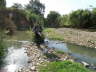 camino (9)